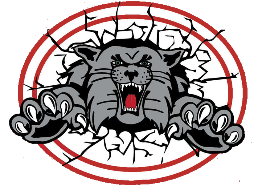 Canton South High School Wildcats Logo