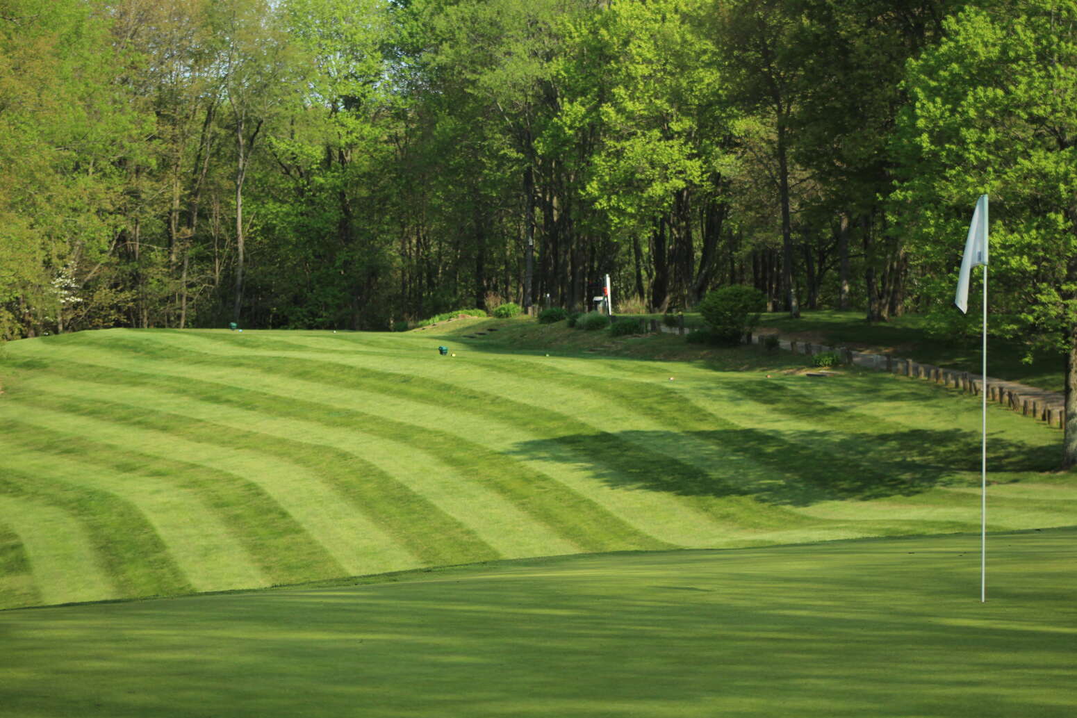 Hole 11 Green