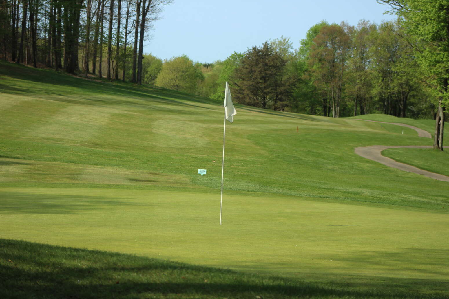 Hole 12 Green