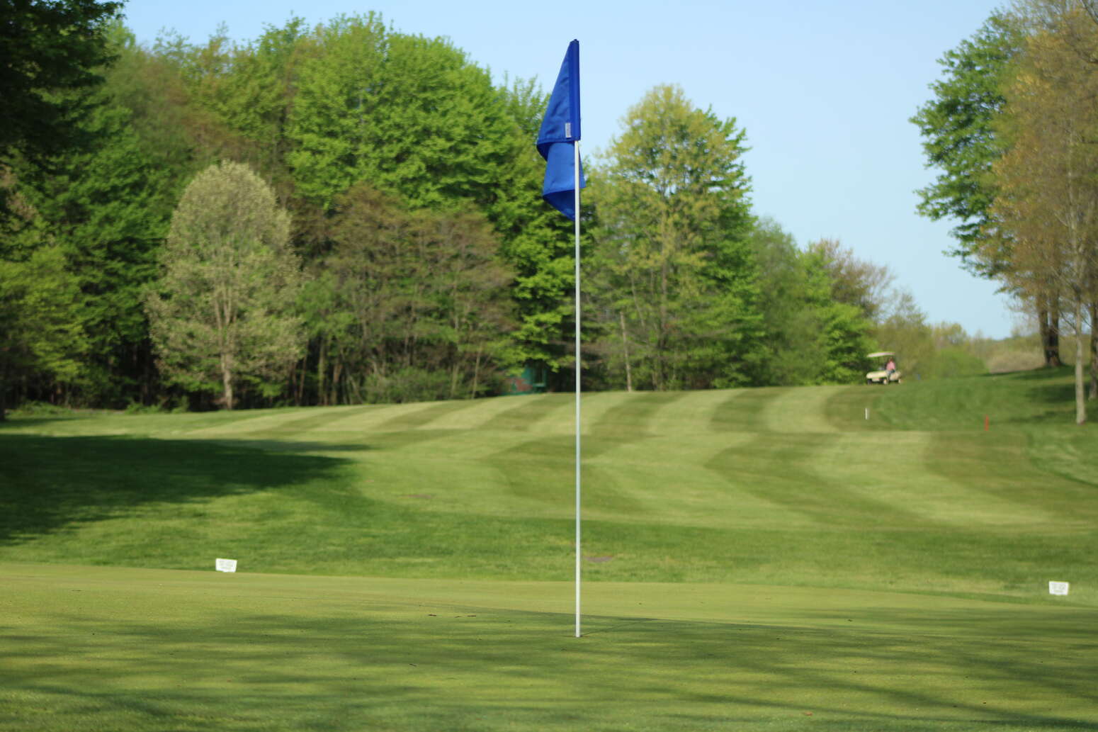 Hole 15 Green