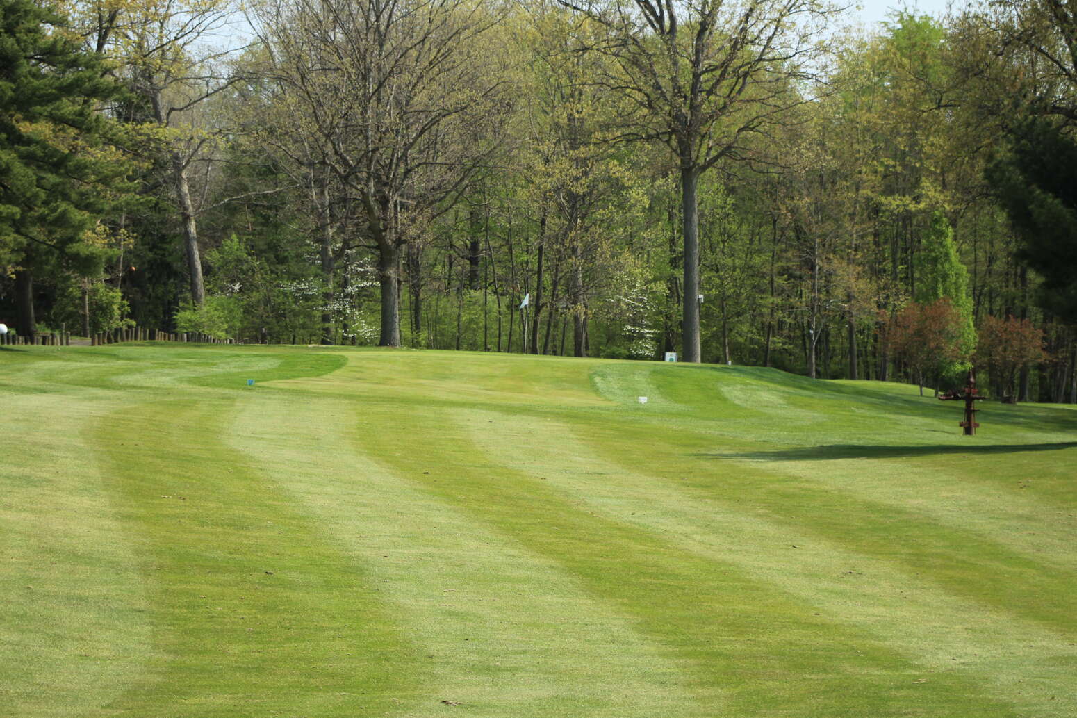 Hole 2 Fairway