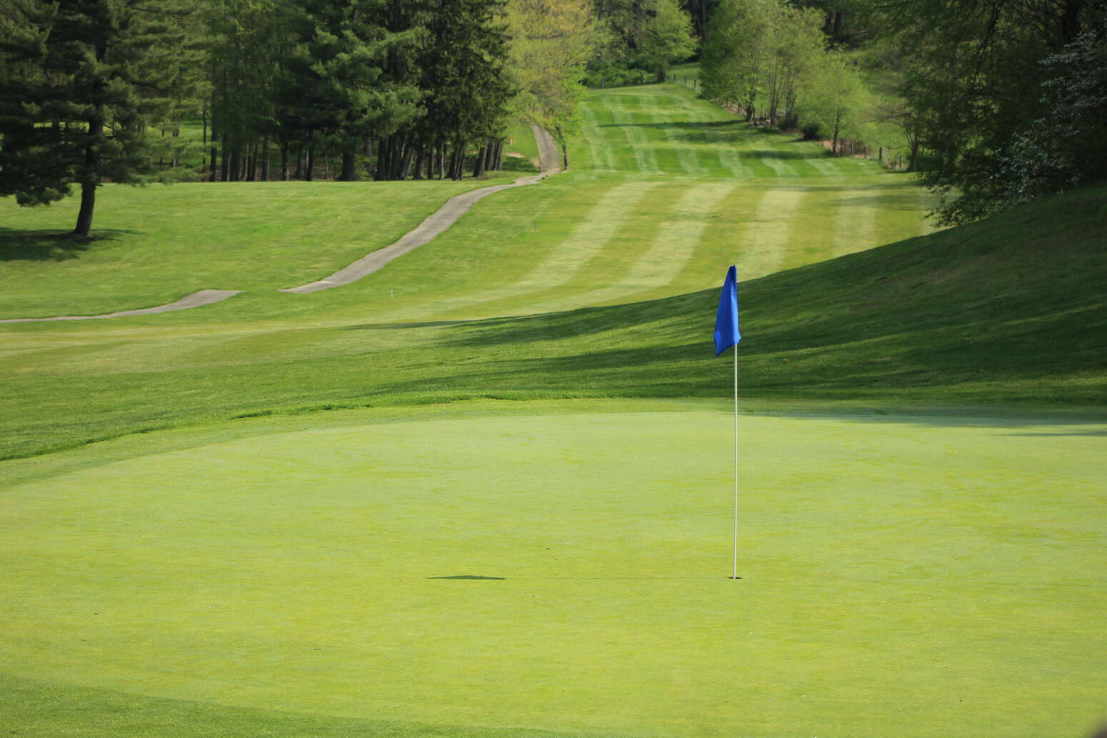 Hole 4 Green