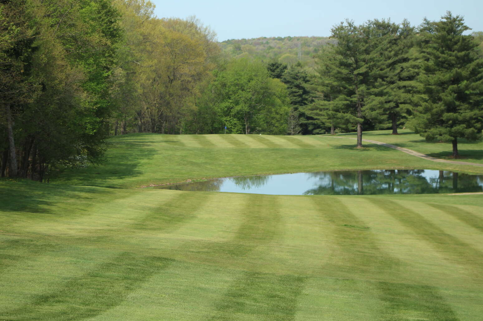 Hole 5 Fairway